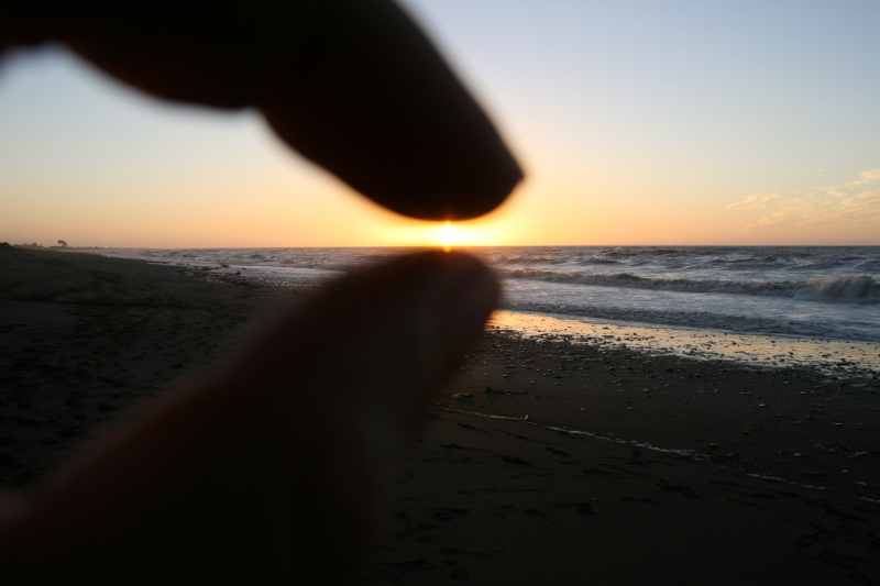 Nieuw-Zeeland 2011 - 1371